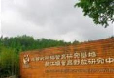 成都中国大熊猫保护研究中心都江堰基地怎么玩？附游玩路线