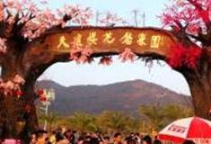 广州天适樱花悠乐园怎么玩？附游玩路线