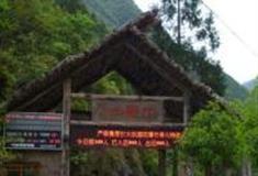 丽水九龙山自然保护区怎么玩？附游玩路线