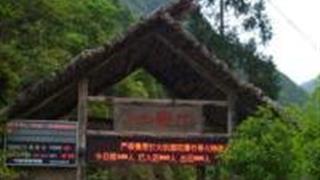 丽水九龙山自然保护区怎么玩？附游玩路线