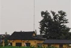 上海白沃净寺怎么玩？附游玩路线