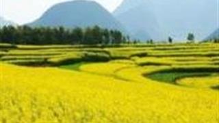 重庆醉美酒乡生态产业园怎么玩？附游玩路线