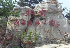 北京北宫国家森林公园怎么玩？附游玩路线