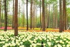 重庆大木林下花园怎么玩？附游玩路线