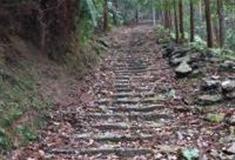 温州马鞍岭古道怎么玩？附游玩路线