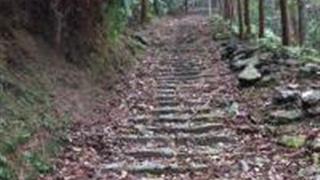 温州马鞍岭古道怎么玩？附游玩路线