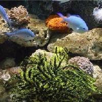 杭州西湖风景名胜区18595