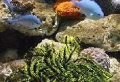 杭州西湖风景名胜区：杭州海底世界