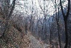 伏羲山神仙洞：白茅涧登山步道入口