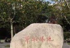 上海华山绿地怎么玩？附游玩路线