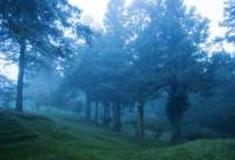 高雄藤枝国家森林游乐区怎么玩？附游玩路线