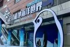 广州正佳极地海洋世界怎么玩？附游玩路线