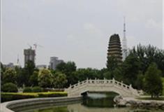 西安小雁塔怎么玩？附游玩路线