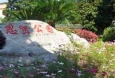 上海松江思贤公园怎么玩？附游玩路线