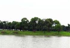 上海泖田湿地怎么玩？附游玩路线