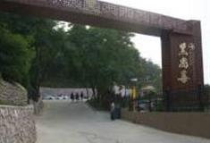 烟台黑尚莓旅游景区怎么玩？附游玩路线