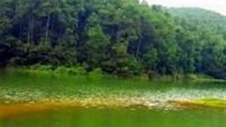 重庆虎峰山生态旅游区怎么玩？附游玩路线