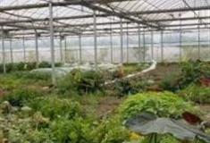 上海微笑农场怎么玩？附游玩路线