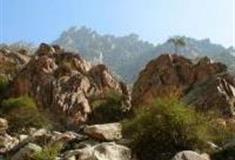 银川苏峪口国家森林公园怎么玩？附游玩路线