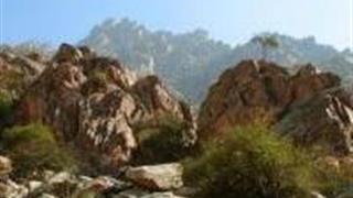 银川苏峪口国家森林公园怎么玩?附游玩路线 银川苏峪口国家森林公园怎么玩?附游玩路线