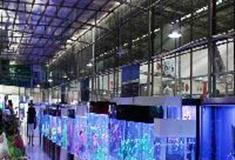 中北镇：观赏鱼厅