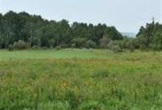 承德围场太阳湖怎么玩？附游玩路线