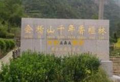 绍兴千年香榧林怎么玩？附游玩路线