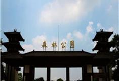 武汉东湖吹笛景区怎么玩？附游玩路线