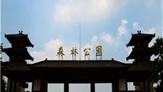 武汉东湖吹笛景区怎么玩？附游玩路线