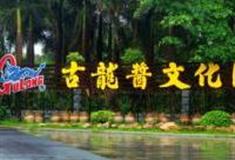 厦门古龙酱文化园怎么玩？附游玩路线