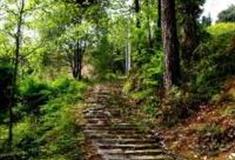 温州田塘头古道怎么玩？附游玩路线