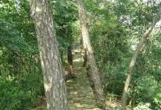 杭州如意尖登山道怎么玩？附游玩路线