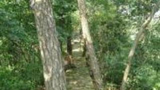 杭州如意尖登山道怎么玩？附游玩路线