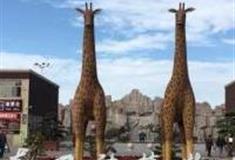 烟台龙口动植物园怎么玩？附游玩路线