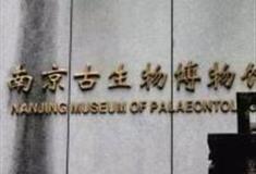 南京古生物博物馆怎么玩？附游玩路线