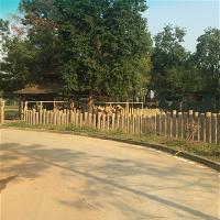 长沙生态动物园19211