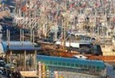 舟山沈家门渔港怎么玩？附游玩路线