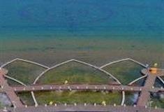 郑州双鹤湖中央公园怎么玩？附游玩路线