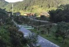 铜仁亚盘林景区怎么玩？附游玩路线