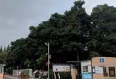 成都簇锦公园怎么玩？附游玩路线