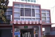 上海共青国家森林公园：浦江揽胜