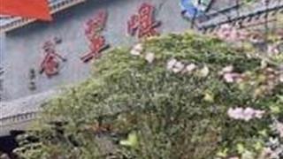 宜昌鸣翠谷怎么玩？附游玩路线