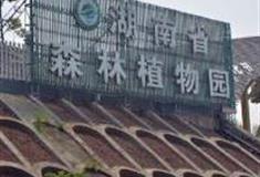 长沙湖南省森林植物园怎么玩？附游玩路线