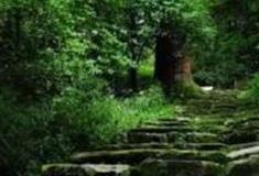 金华汤松古道怎么玩？附游玩路线