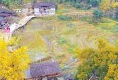 泉州丁荣银杏山庄怎么玩？附游玩路线