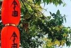 福州天竹畲寨怎么玩？附游玩路线