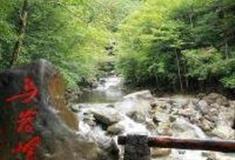 温州乌岩岭保护区怎么玩？附游玩路线