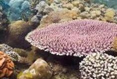 北京太平洋汉海海底世界怎么玩？附游玩路线