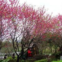 桂林穿山景区17983