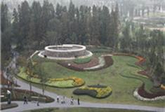 上海植物园怎么玩？附游玩路线